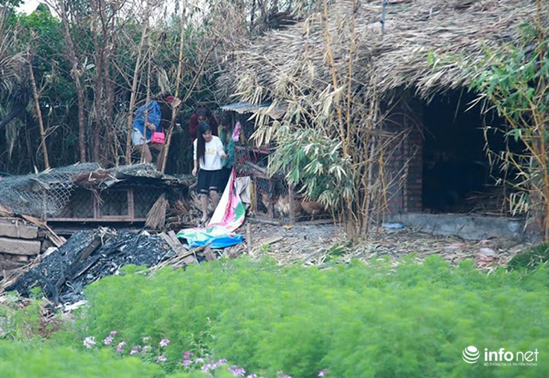 Thung lũng hoa Hồ Tây nát bét, phải đóng cửa sau 3 ngày miễn phí vé vào - ảnh 10
