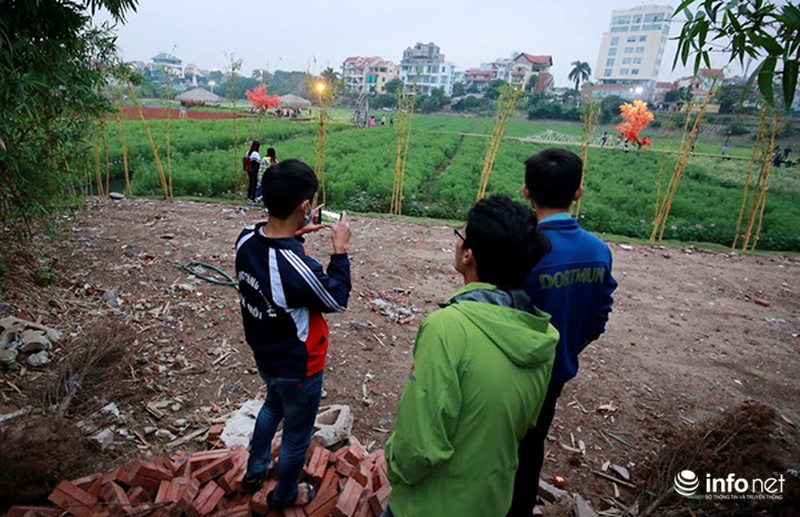 Thung lũng hoa Hồ Tây nát bét, phải đóng cửa sau 3 ngày miễn phí vé vào - ảnh 11