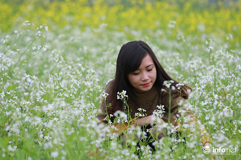 Dịu dàng mùa hoa cải ven Hà Nội - ảnh 5