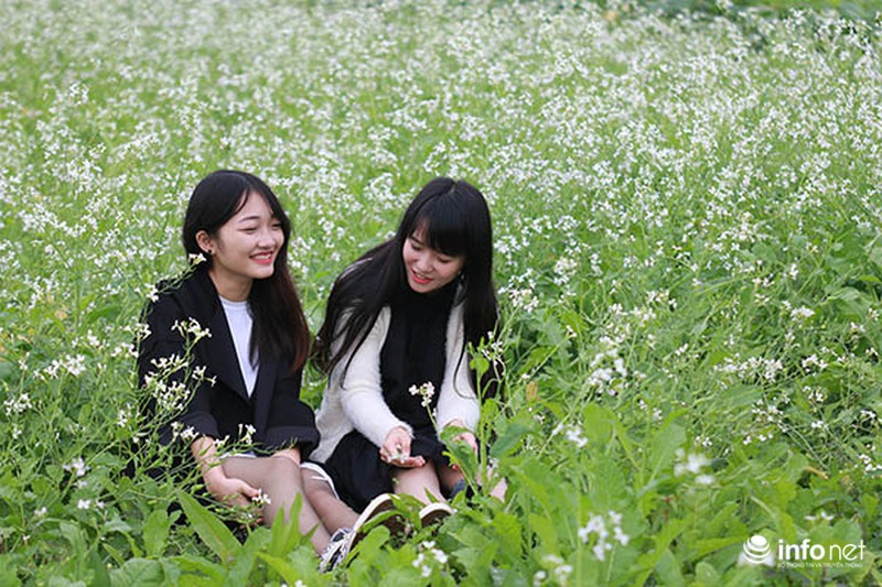 Dịu dàng mùa hoa cải ven Hà Nội - ảnh 6