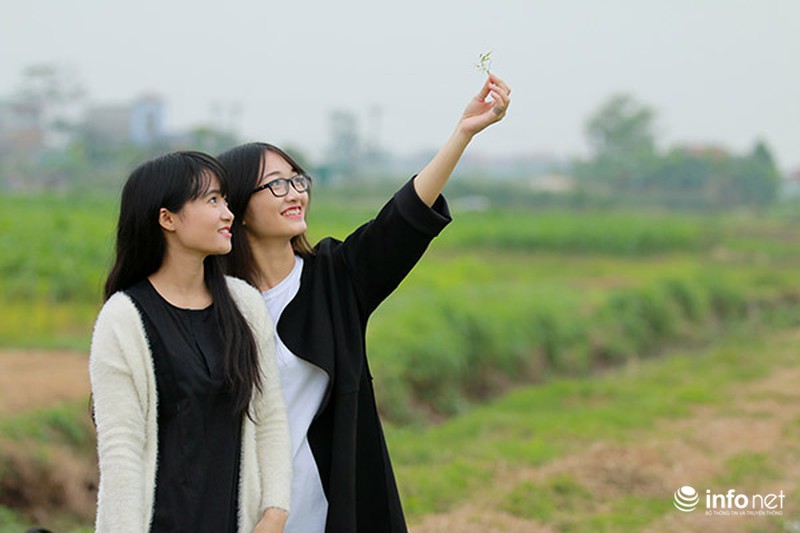 Dịu dàng mùa hoa cải ven Hà Nội - ảnh 7