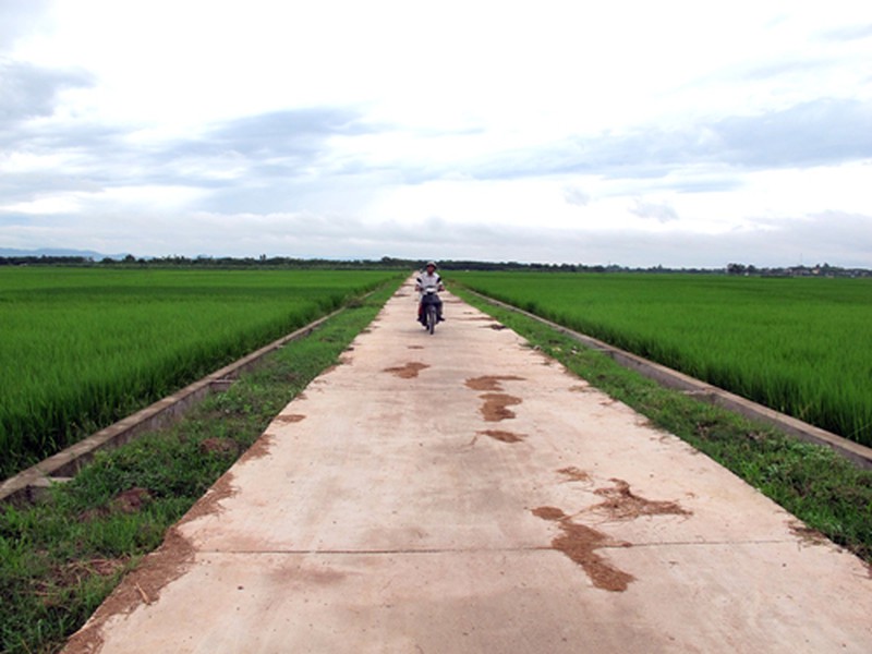 Phú Thọ: 5.800 tỷ đồng xây dựng cơ sở hạ tầng, hỗ trợ sản xuất - ảnh 1