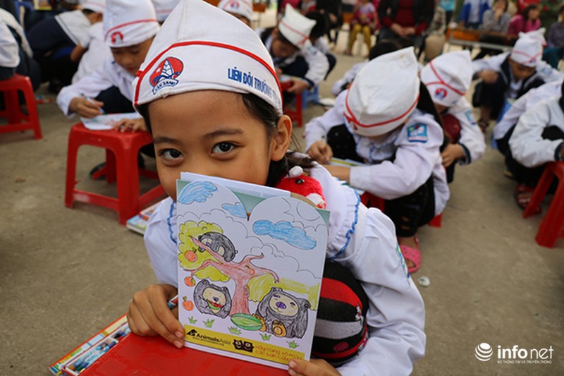 Hơn 200 cá thể gấu bị nuôi nhốt tại Phúc Thọ (Hà Nội) - ảnh 1