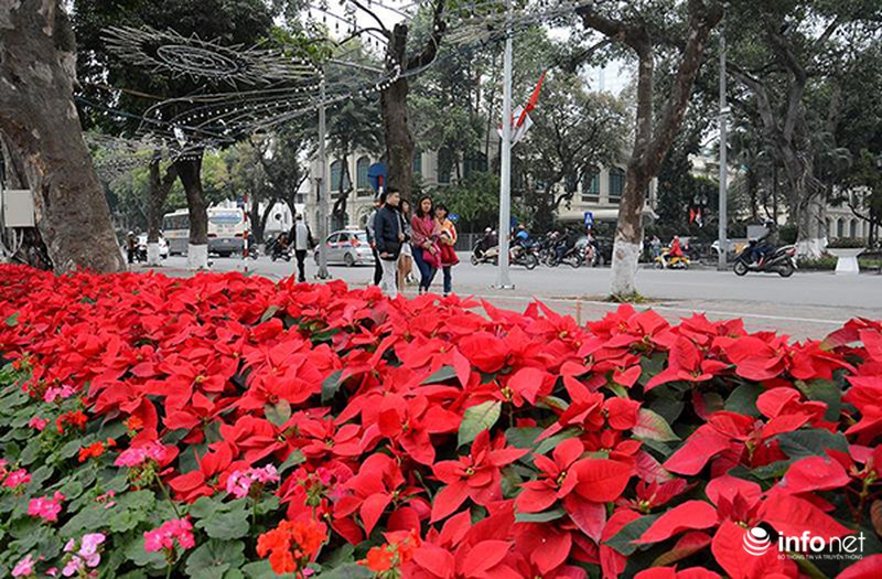 Đường phố trang hoàng chào mừng Đại hội Đảng khoá 12 - ảnh 6