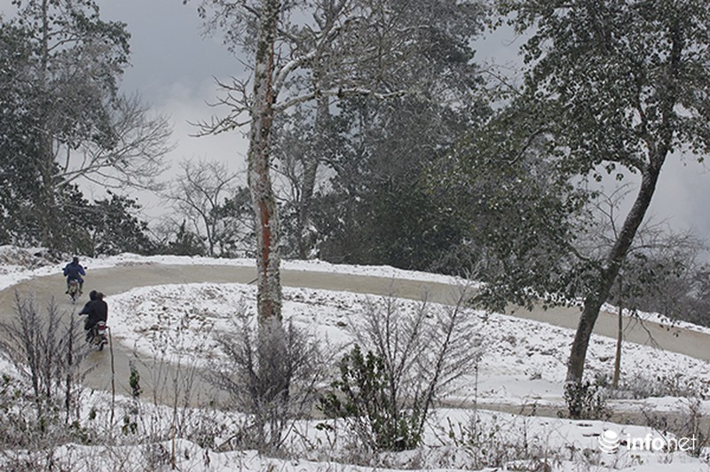 Những cung đường tuyết trên đỉnh núi của Lào Cai - ảnh 1