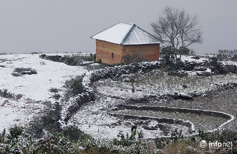 Những cung đường tuyết trên đỉnh núi của Lào Cai - ảnh 2