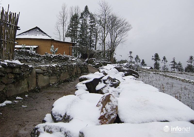 Những cung đường tuyết trên đỉnh núi của Lào Cai - ảnh 3