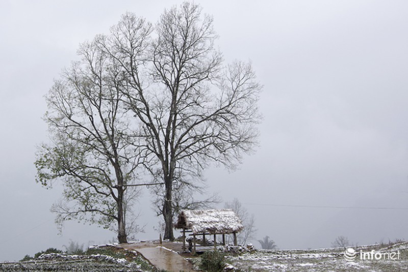 Những cung đường tuyết trên đỉnh núi của Lào Cai - ảnh 4