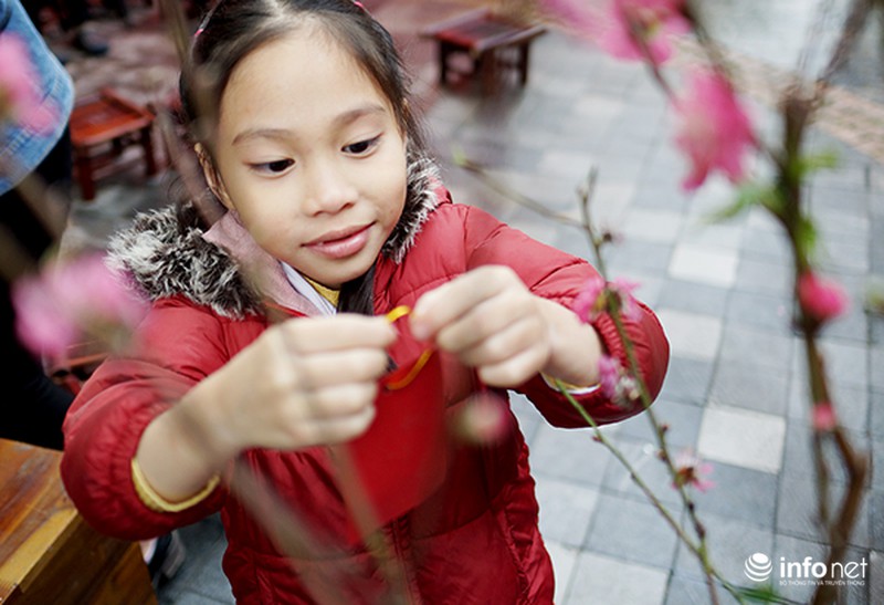 Chợ Tết xưa giữa lòng Hà Nội - ảnh 6