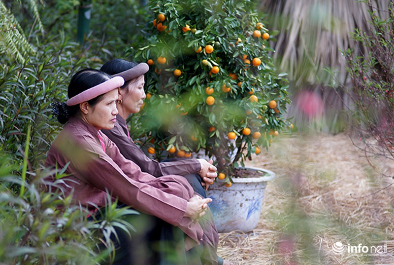 Tái hiện không gian chợ quê cổ giữa lòng đô thị - ảnh 3