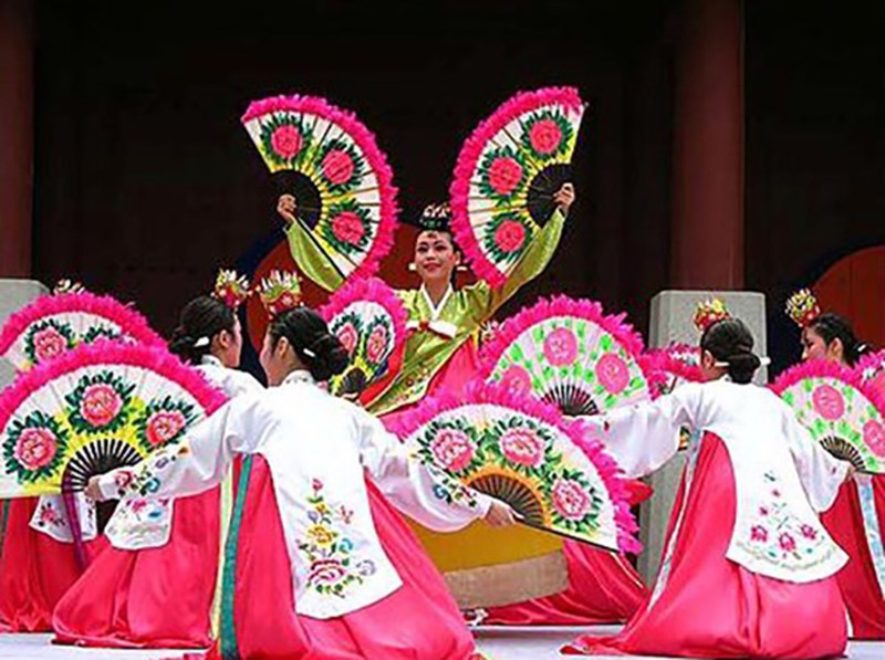 Trải nghiệm đường hoa anh đào của Hàn Quốc tại Hà Nội - ảnh 1