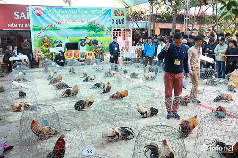 Độc đáo cuộc thi