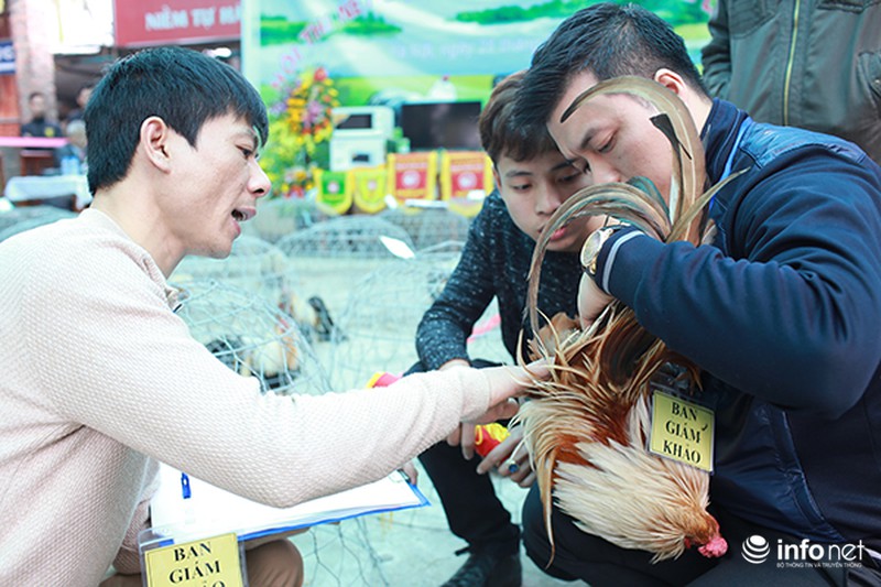 Độc đáo cuộc thi