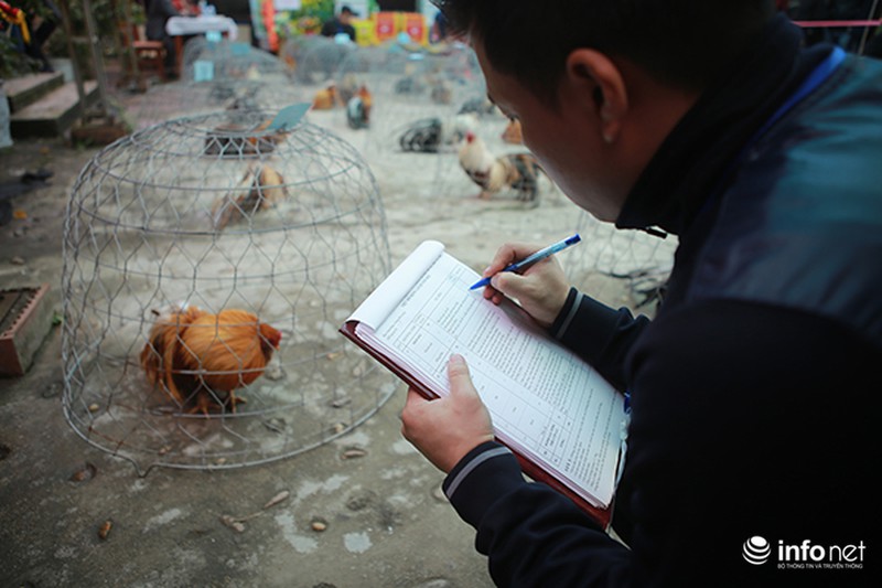 Độc đáo cuộc thi