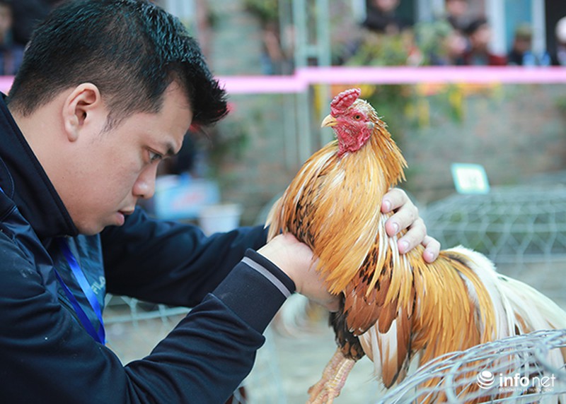 Độc đáo cuộc thi