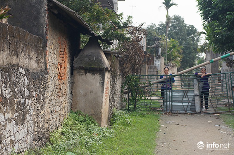 Cận cảnh