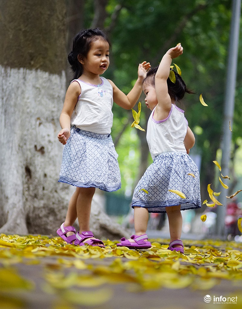 Hà Nội đẹp nao lòng mùa lá rụng - ảnh 2