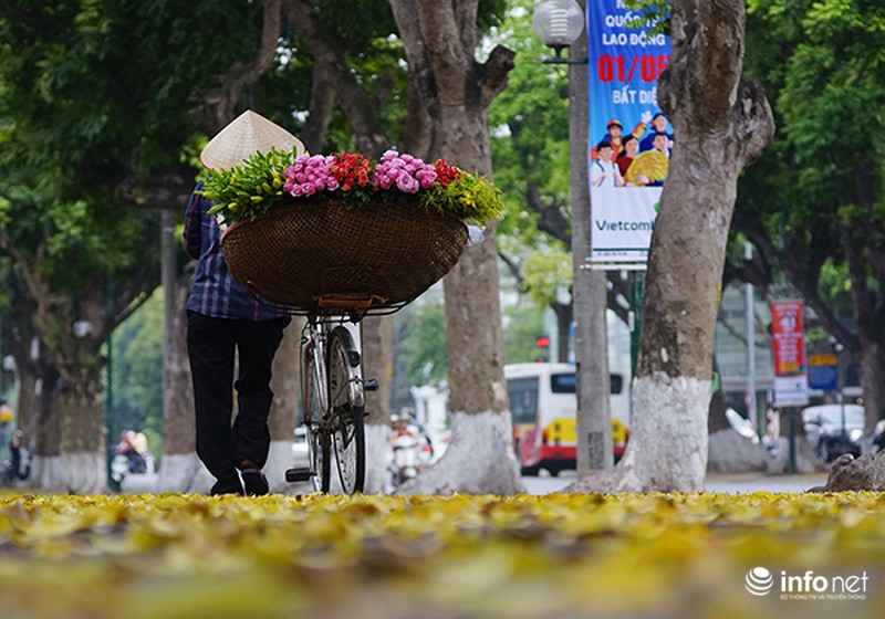 Hà Nội đẹp nao lòng mùa lá rụng - ảnh 8