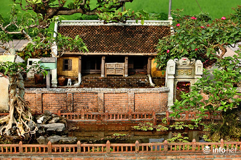 Ngỡ ngàng trước vẻ đẹp ngôi nhà cổ trong chậu bonsai - ảnh 1