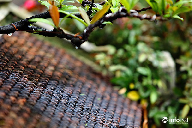 Ngỡ ngàng trước vẻ đẹp ngôi nhà cổ trong chậu bonsai - ảnh 3