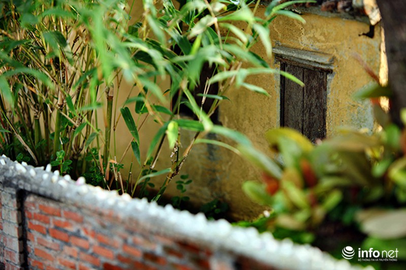 Ngỡ ngàng trước vẻ đẹp ngôi nhà cổ trong chậu bonsai - ảnh 7