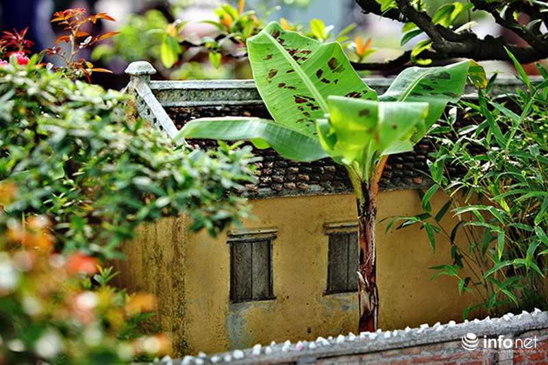 Ngỡ ngàng trước vẻ đẹp ngôi nhà cổ trong chậu bonsai - ảnh 9