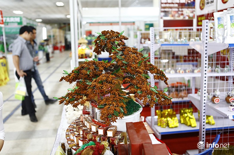 Đồng bào dân tộc thiểu số mang nông sản an toàn về Thủ đô - ảnh 4