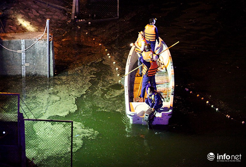 Hé lộ những nghi vấn đầu tiên về nguyên nhân cá chết trắng mặt hồ Hoàng Cầu - ảnh 4