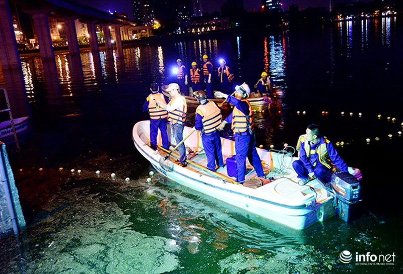 Hé lộ những nghi vấn đầu tiên về nguyên nhân cá chết trắng mặt hồ Hoàng Cầu - ảnh 5