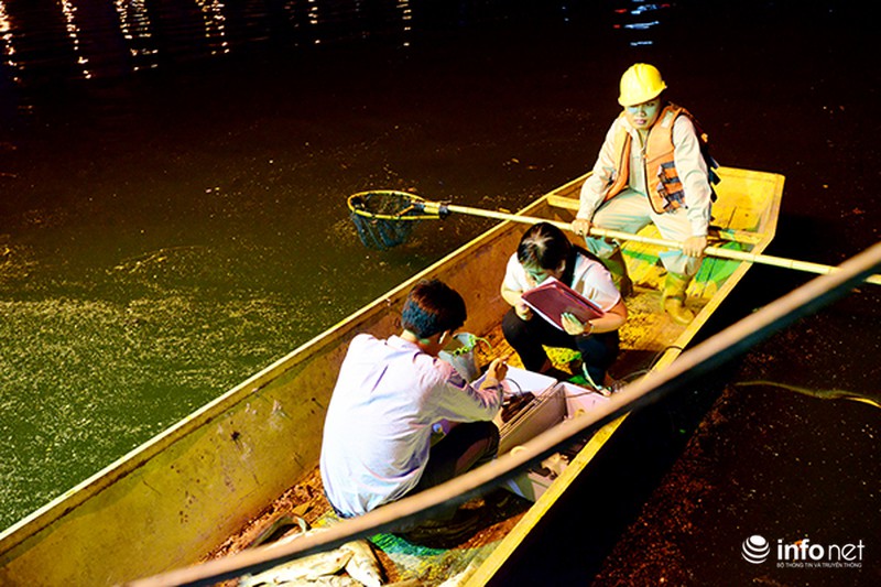 Hé lộ những nghi vấn đầu tiên về nguyên nhân cá chết trắng mặt hồ Hoàng Cầu - ảnh 6