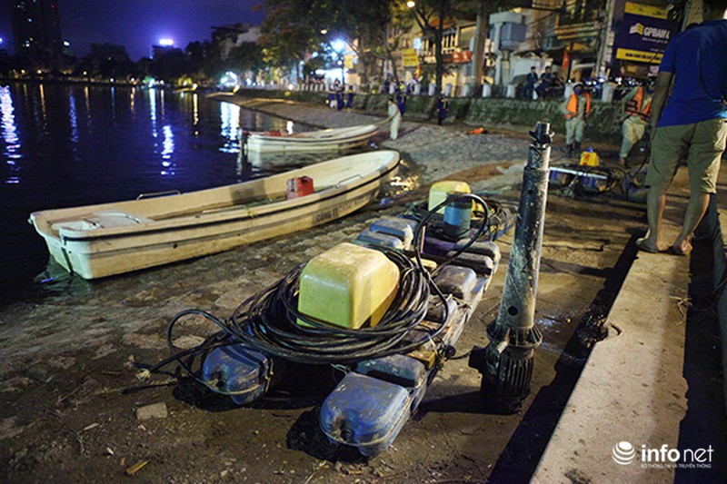 Hé lộ những nghi vấn đầu tiên về nguyên nhân cá chết trắng mặt hồ Hoàng Cầu - ảnh 8