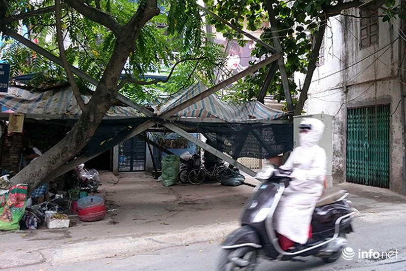 Đùa giỡn tử thần khi mưu sinh dưới chân cột điện cao thế - ảnh 1