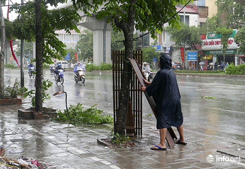 Hà Nội tan hoang sau bão số 1 - ảnh 1
