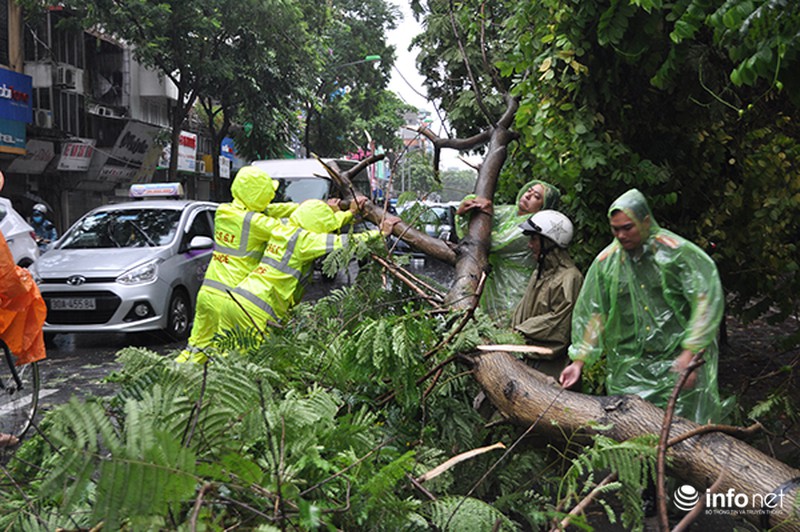 Những người làm việc trong mưa bão - ảnh 8