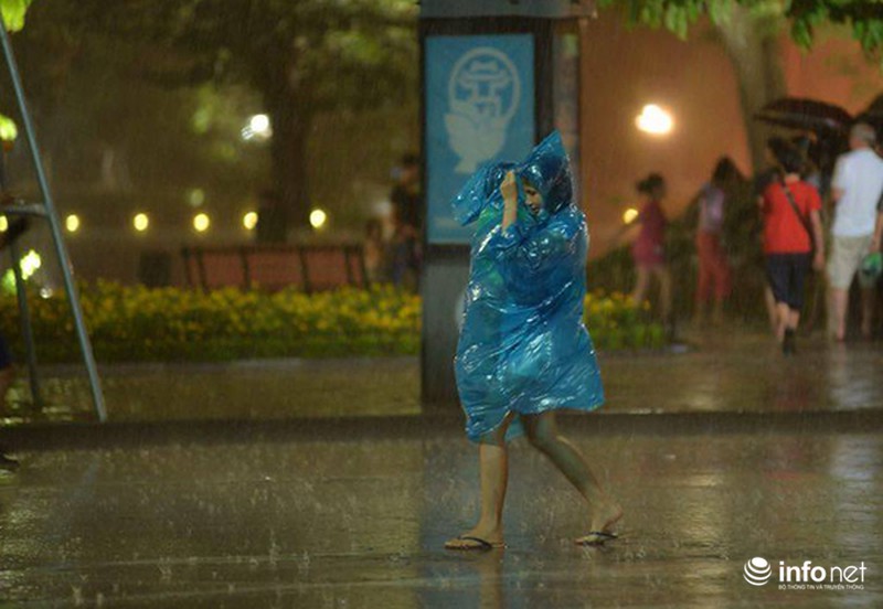 Người Hà Nội thích thú đi bộ dưới mưa quanh Hồ Gươm - ảnh 3