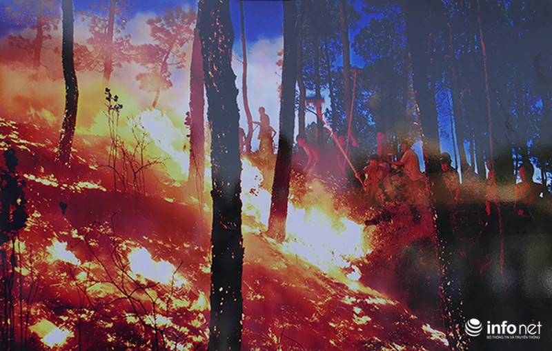 Những hình ảnh cảm động về người lính cứu hỏa và cứu hộ cứu nạn - ảnh 20