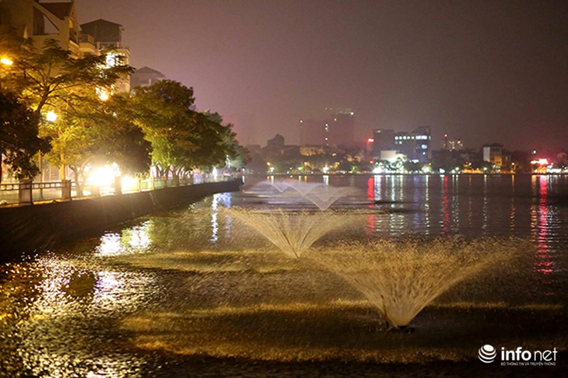 200 tấn cá chết ở Hồ Tây được đưa đi đâu? - ảnh 11