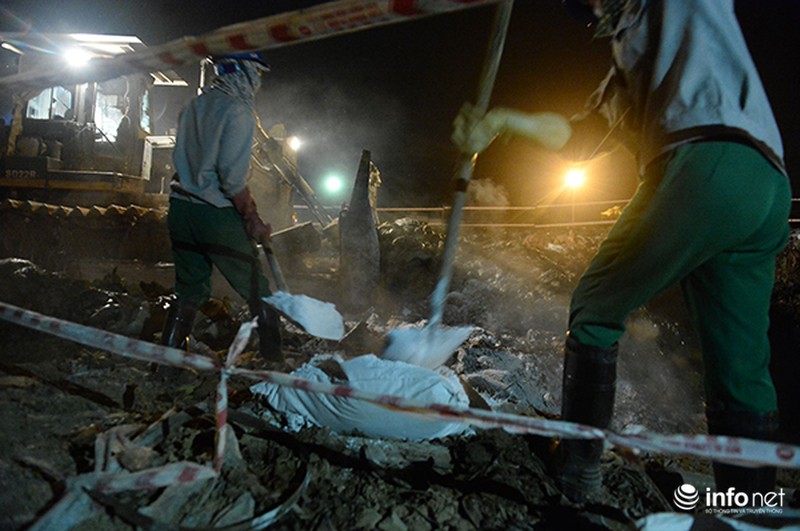 200 tấn cá chết ở Hồ Tây được đưa đi đâu? - ảnh 7