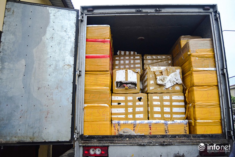 Bắt giữ xe ô tô chở số lượng lớn tê tê và rùa - ảnh 1