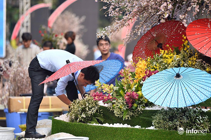 Chưa khai mạc, lễ hội hoa anh đào Nhật Bản đã hút hàng nghìn người Hà Nội - ảnh 3