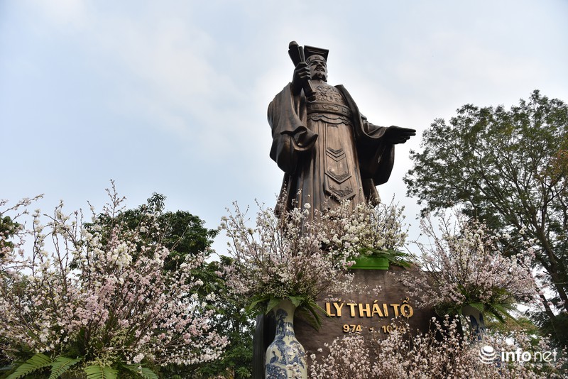 Chưa khai mạc, lễ hội hoa anh đào Nhật Bản đã hút hàng nghìn người Hà Nội - ảnh 10