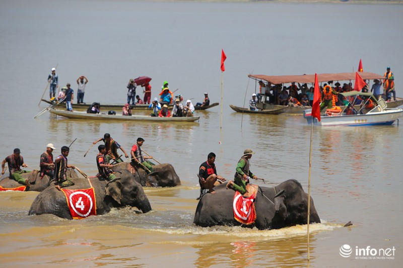 Tưng bừng hội đua voi hồ Lắk - ảnh 7