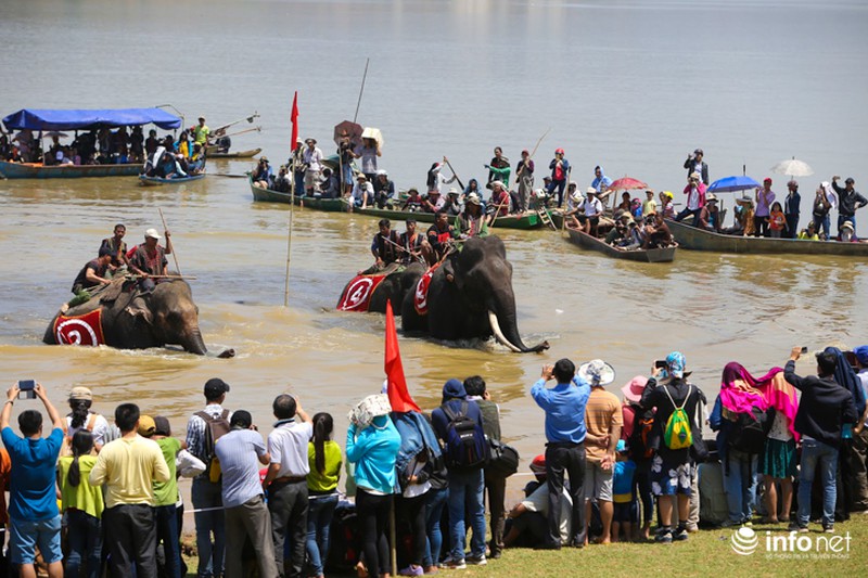 Tưng bừng hội đua voi hồ Lắk - ảnh 8