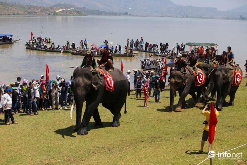 Tưng bừng hội đua voi hồ Lắk - ảnh 10