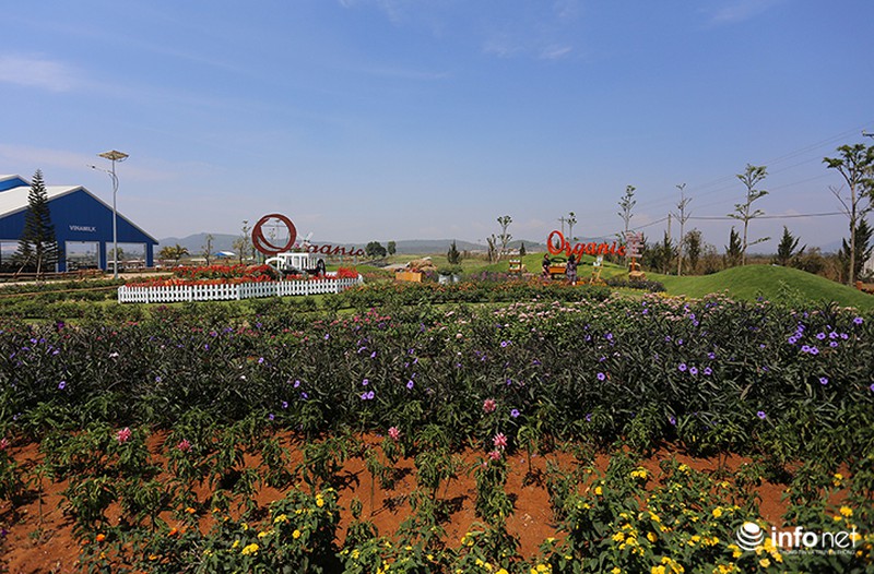 Đẹp như trang trại bò sữa Organic tiêu chuẩn châu Âu đầu tiên tại Việt Nam - ảnh 1