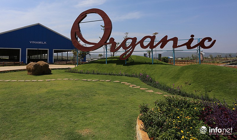 Đẹp như trang trại bò sữa Organic tiêu chuẩn châu Âu đầu tiên tại Việt Nam - ảnh 3