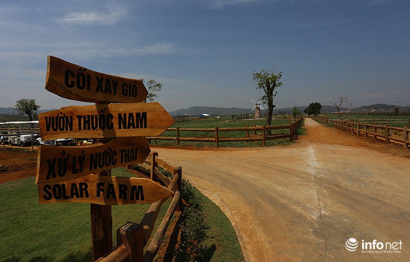 Đẹp như trang trại bò sữa Organic tiêu chuẩn châu Âu đầu tiên tại Việt Nam - ảnh 4