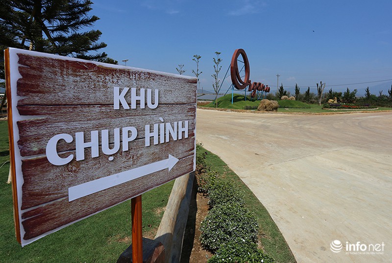 Đẹp như trang trại bò sữa Organic tiêu chuẩn châu Âu đầu tiên tại Việt Nam - ảnh 5