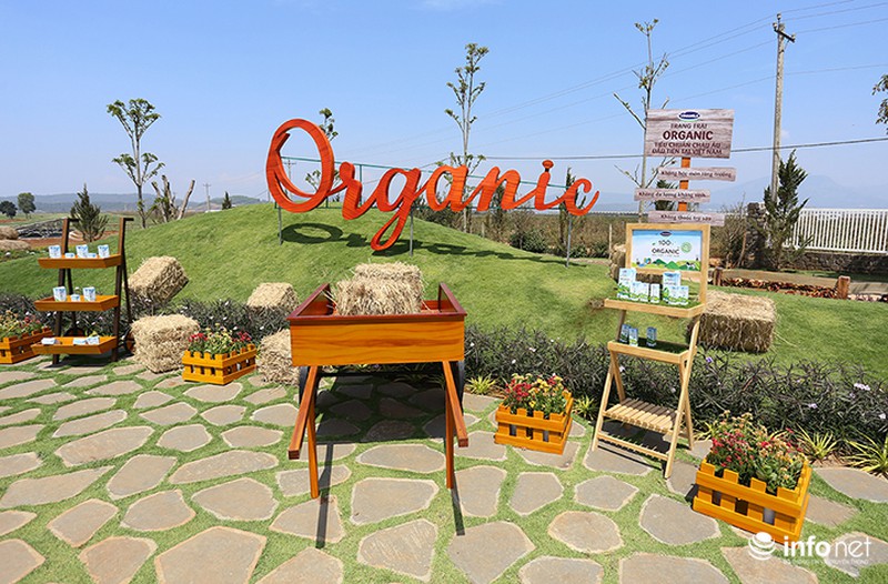 Đẹp như trang trại bò sữa Organic tiêu chuẩn châu Âu đầu tiên tại Việt Nam - ảnh 6