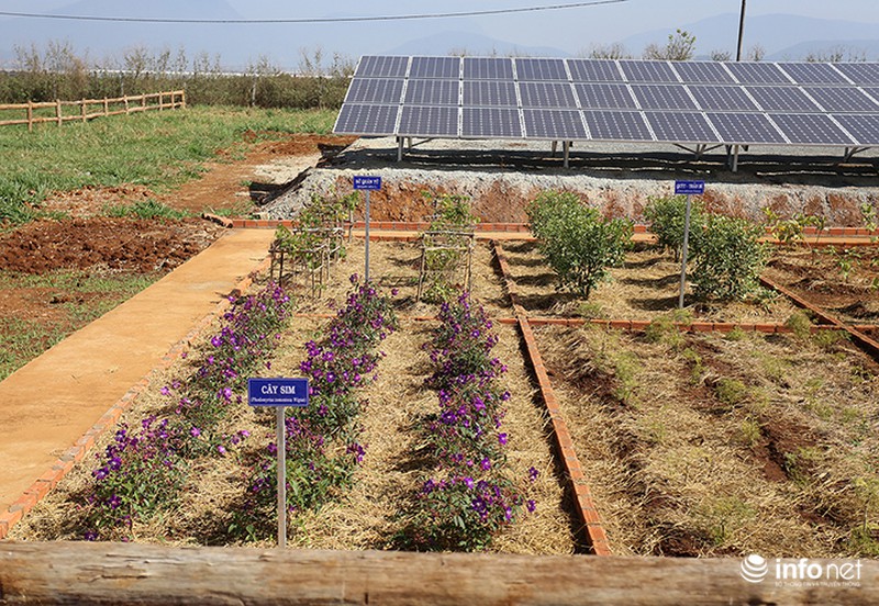 Đẹp như trang trại bò sữa Organic tiêu chuẩn châu Âu đầu tiên tại Việt Nam - ảnh 8